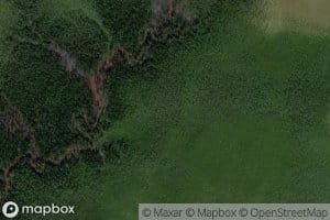 Bol'shaya Filimonovka