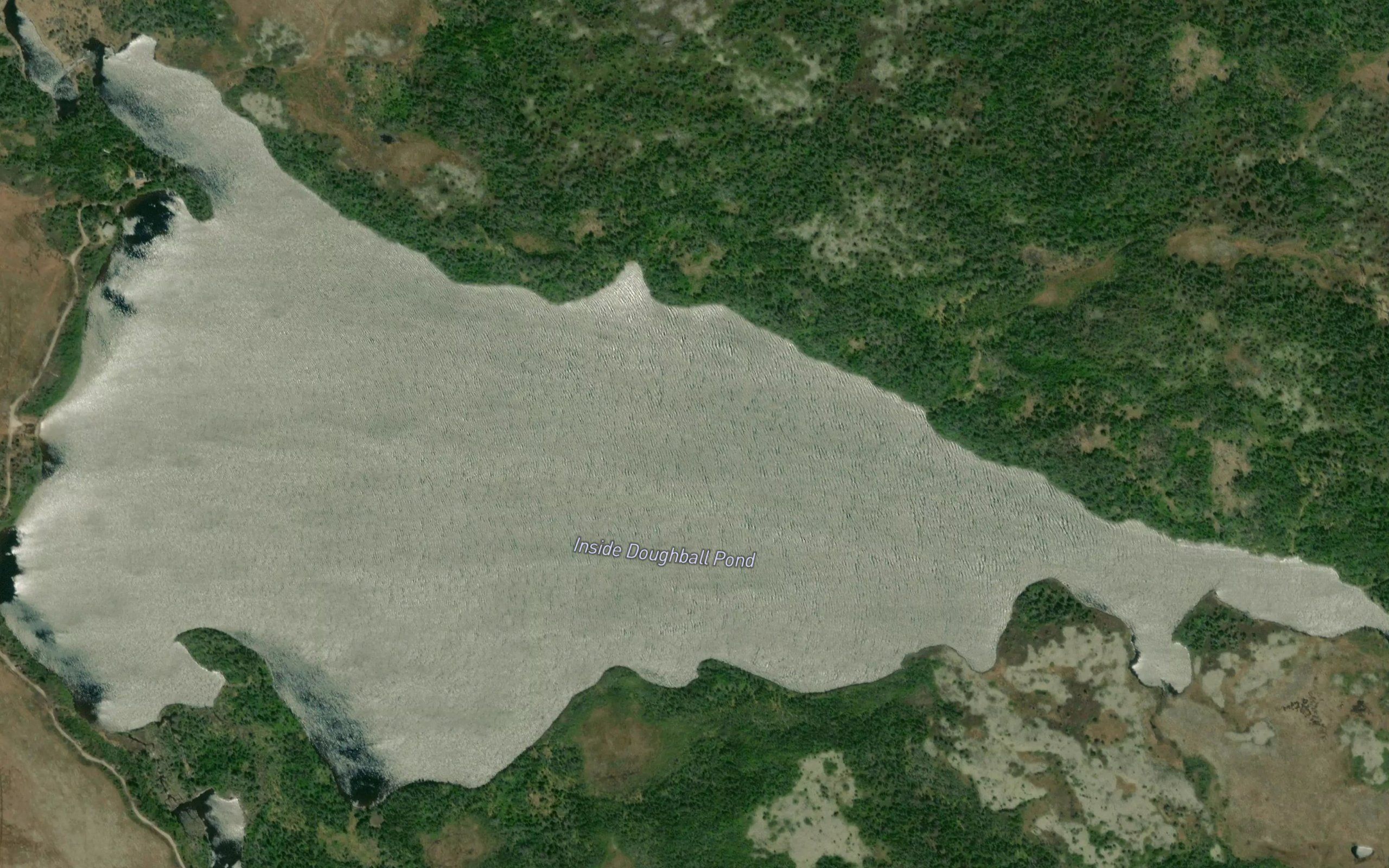 Inside Doughball Pond