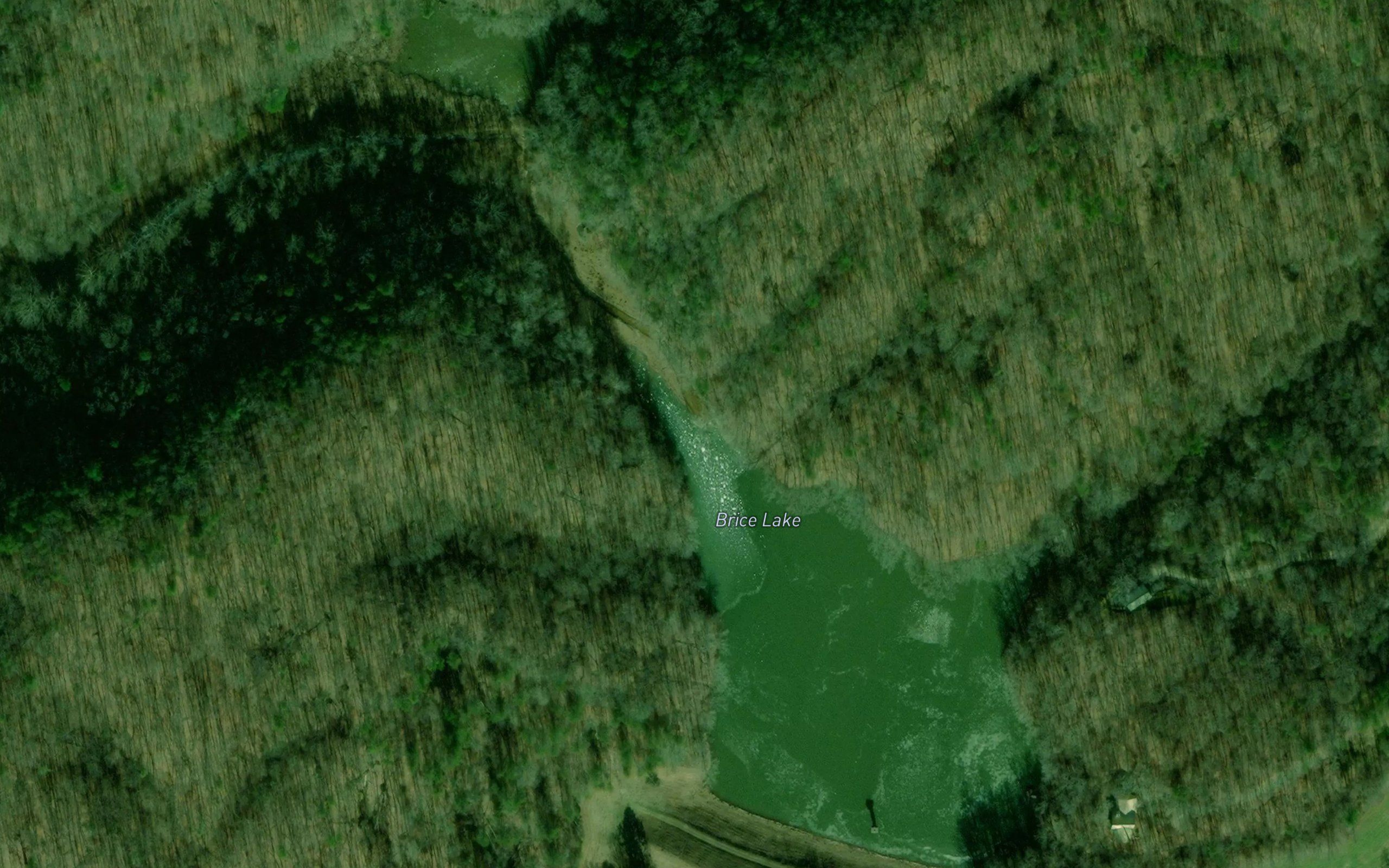 Brice Lake