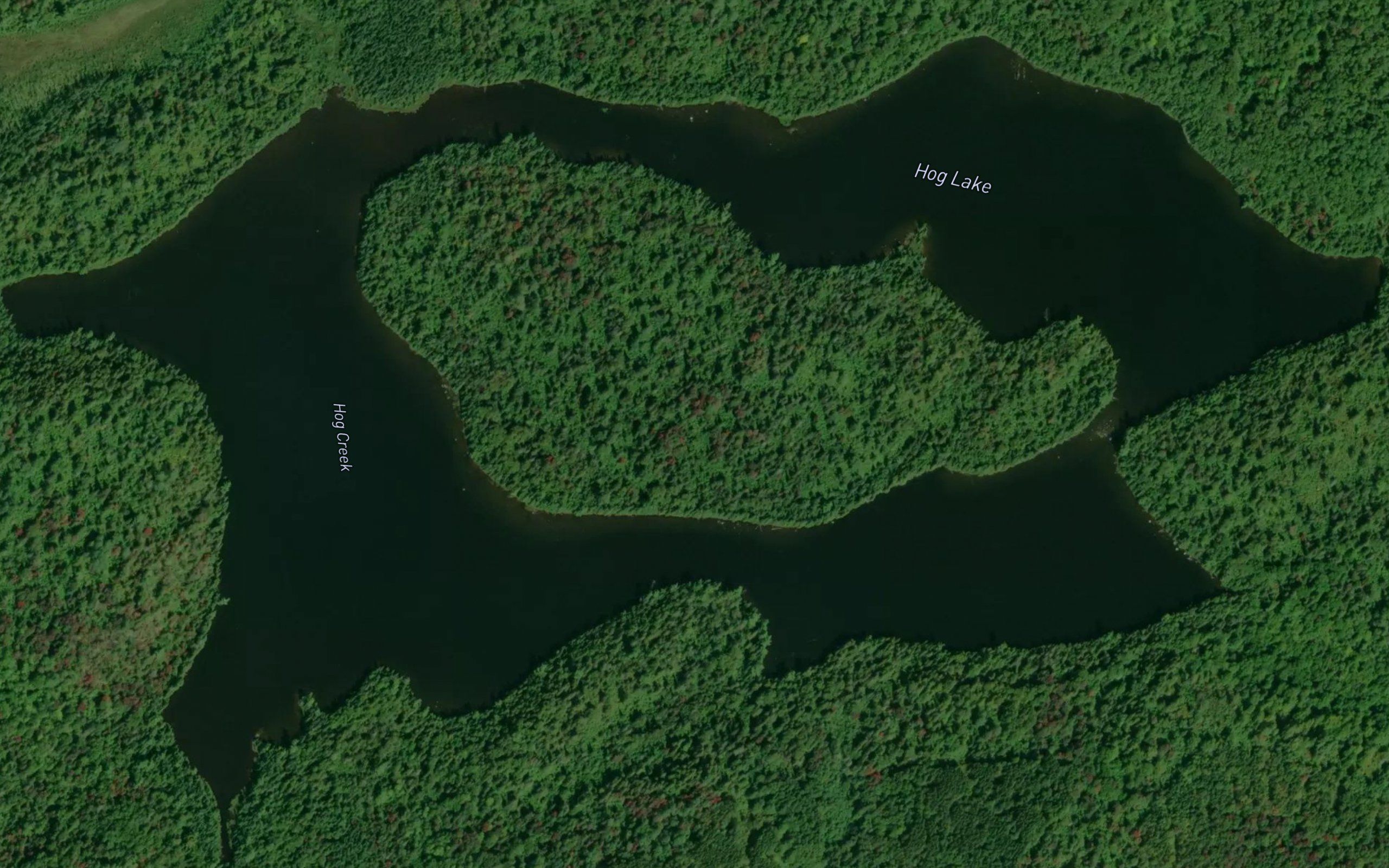 Hog Lake