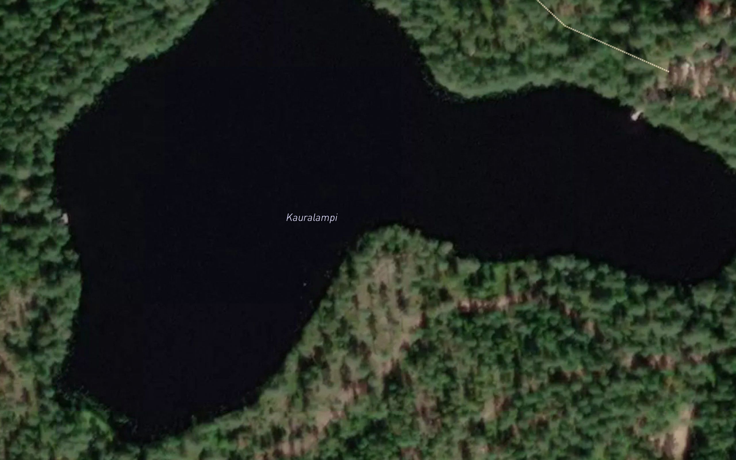 Kauralampi