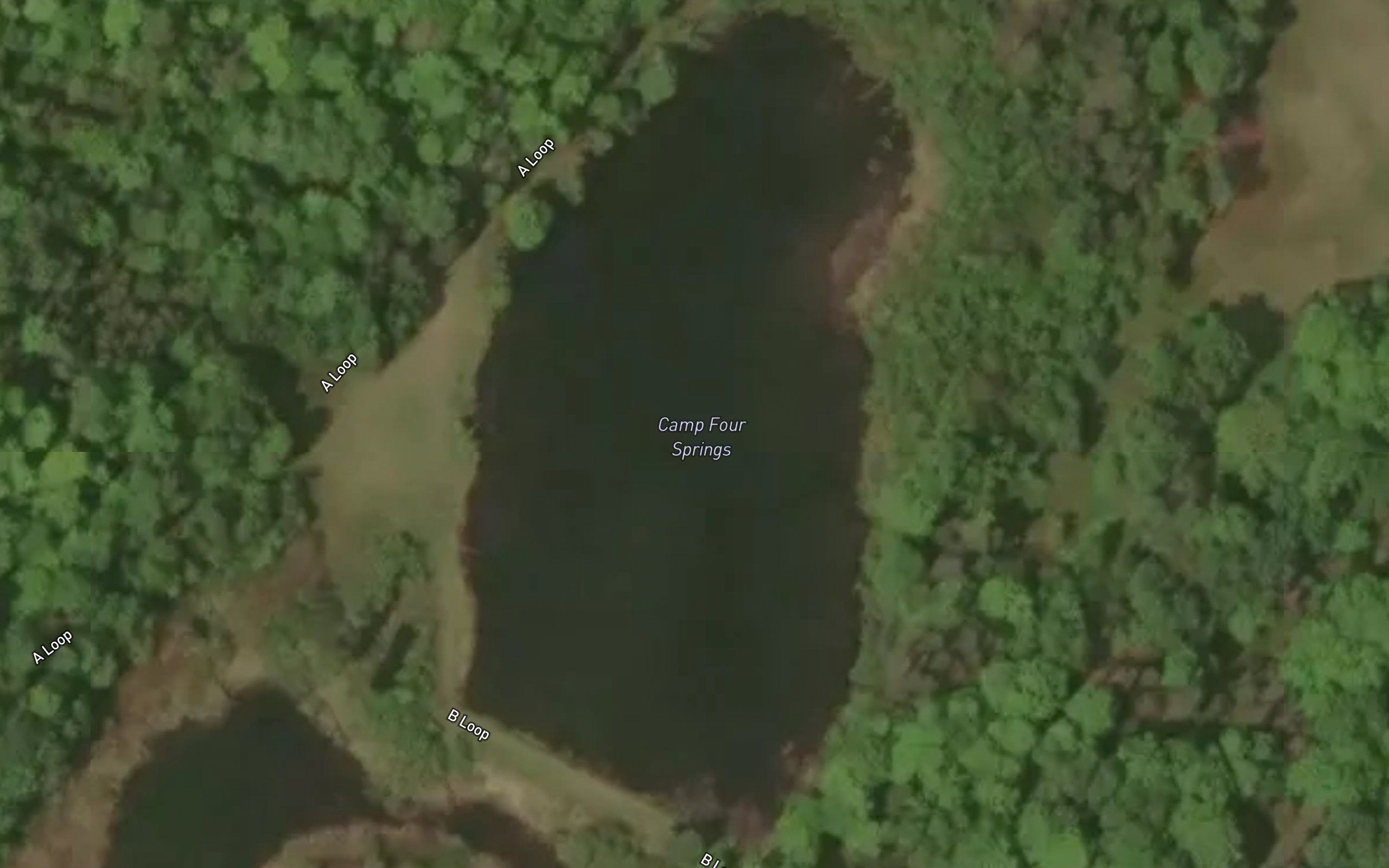 Camp Four Springs