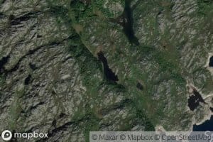 Beintjorna