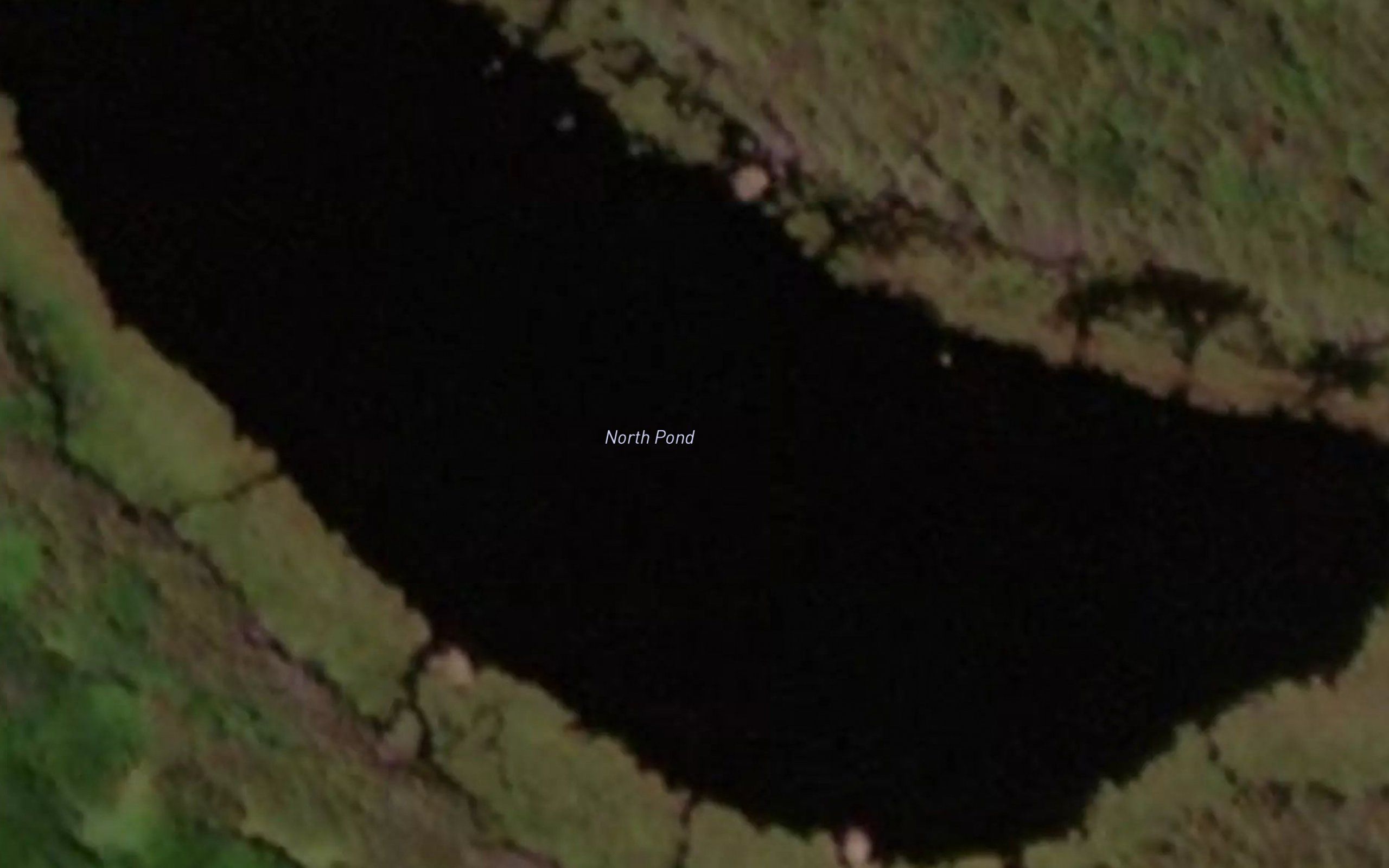North Pond