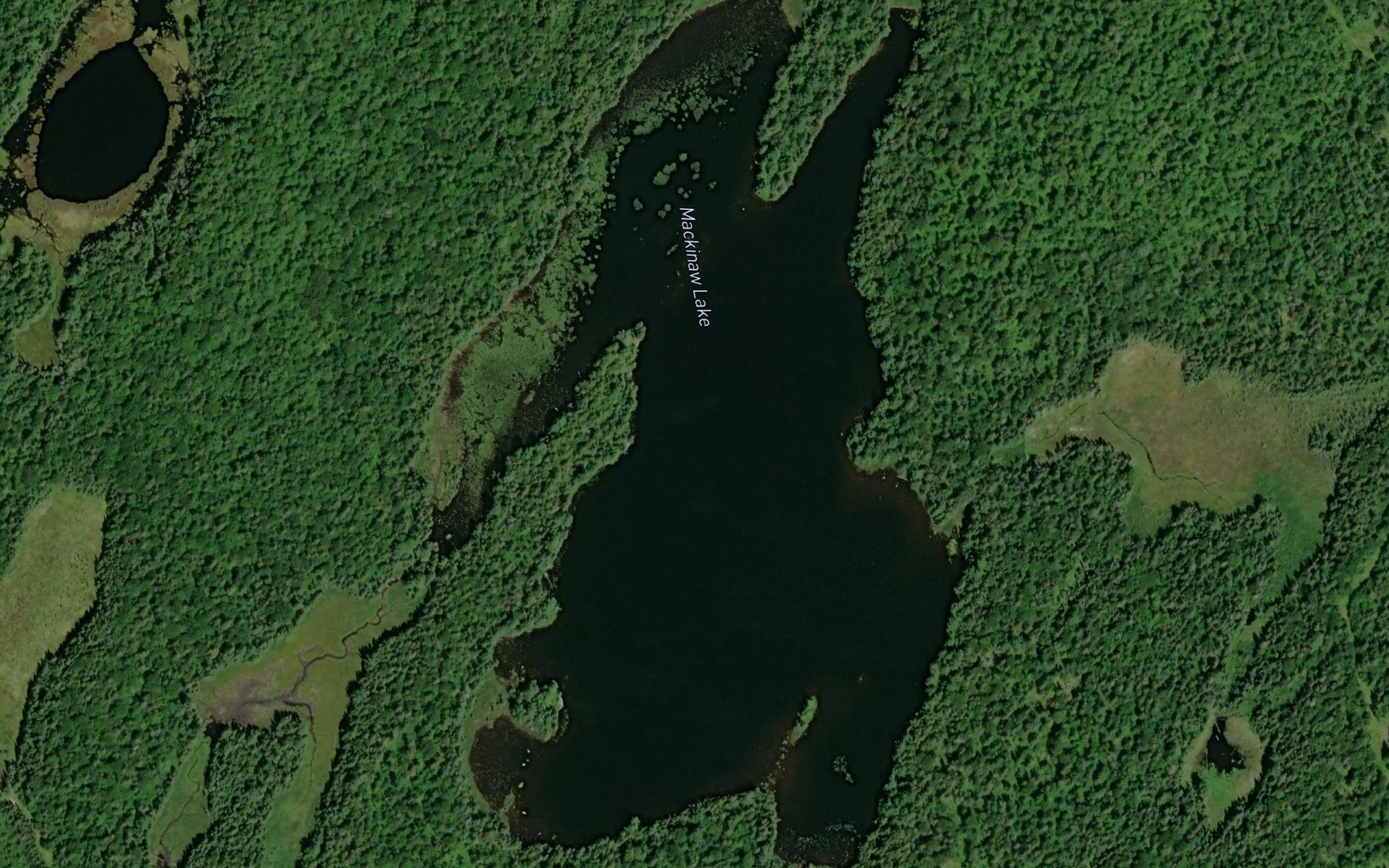 Satellite map of the Mackinaw Lake