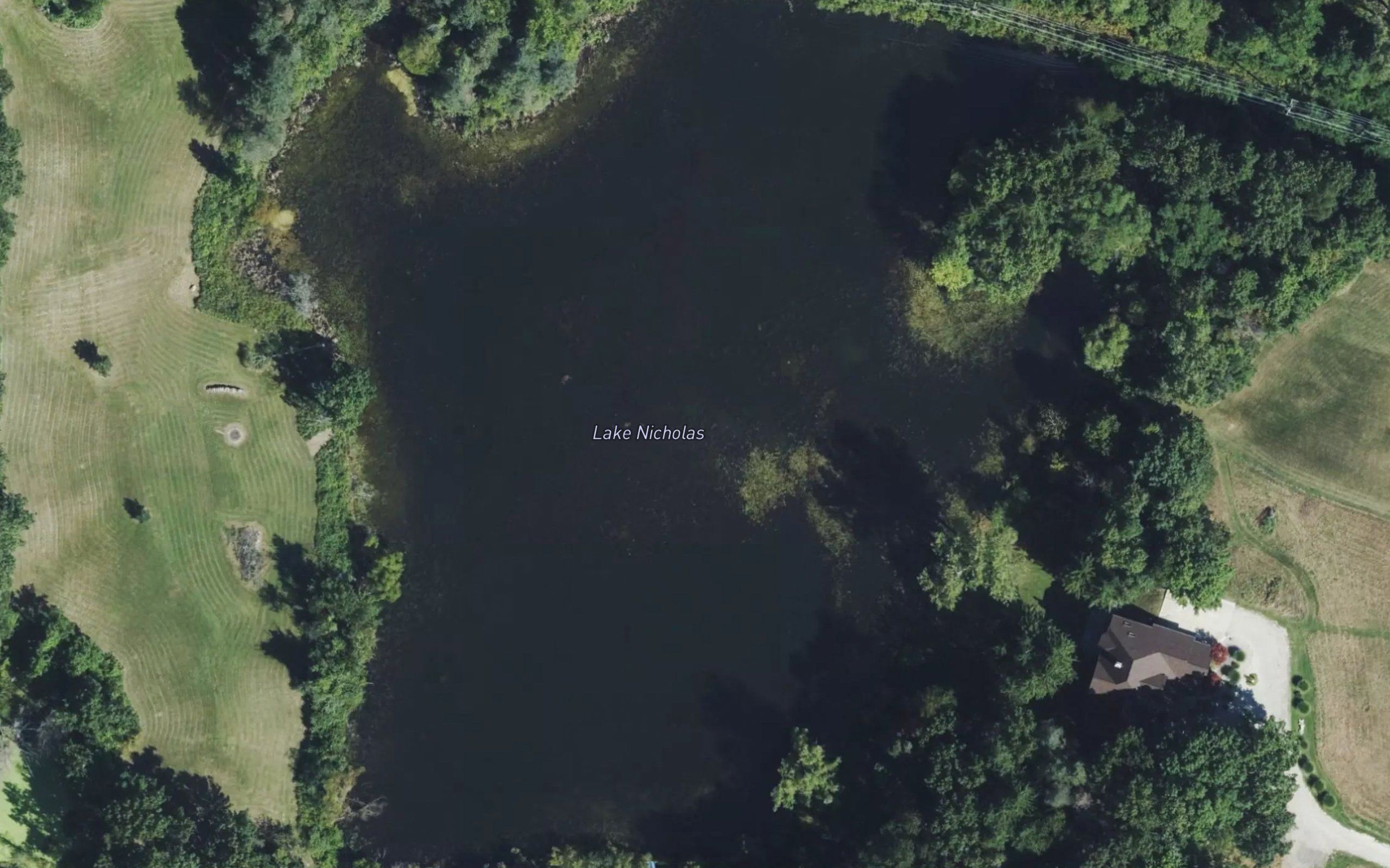 Lake Nicholas