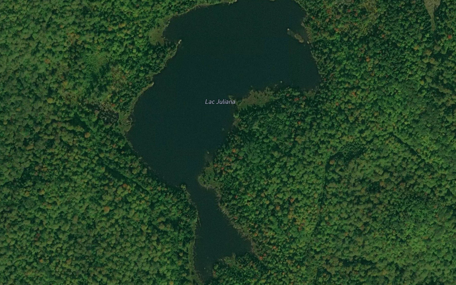 Satellite map of the Lac Juliana