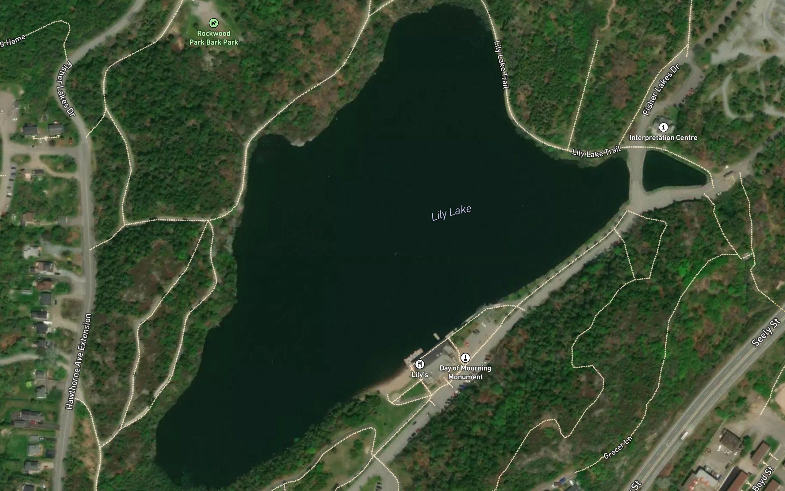 Lily Lake