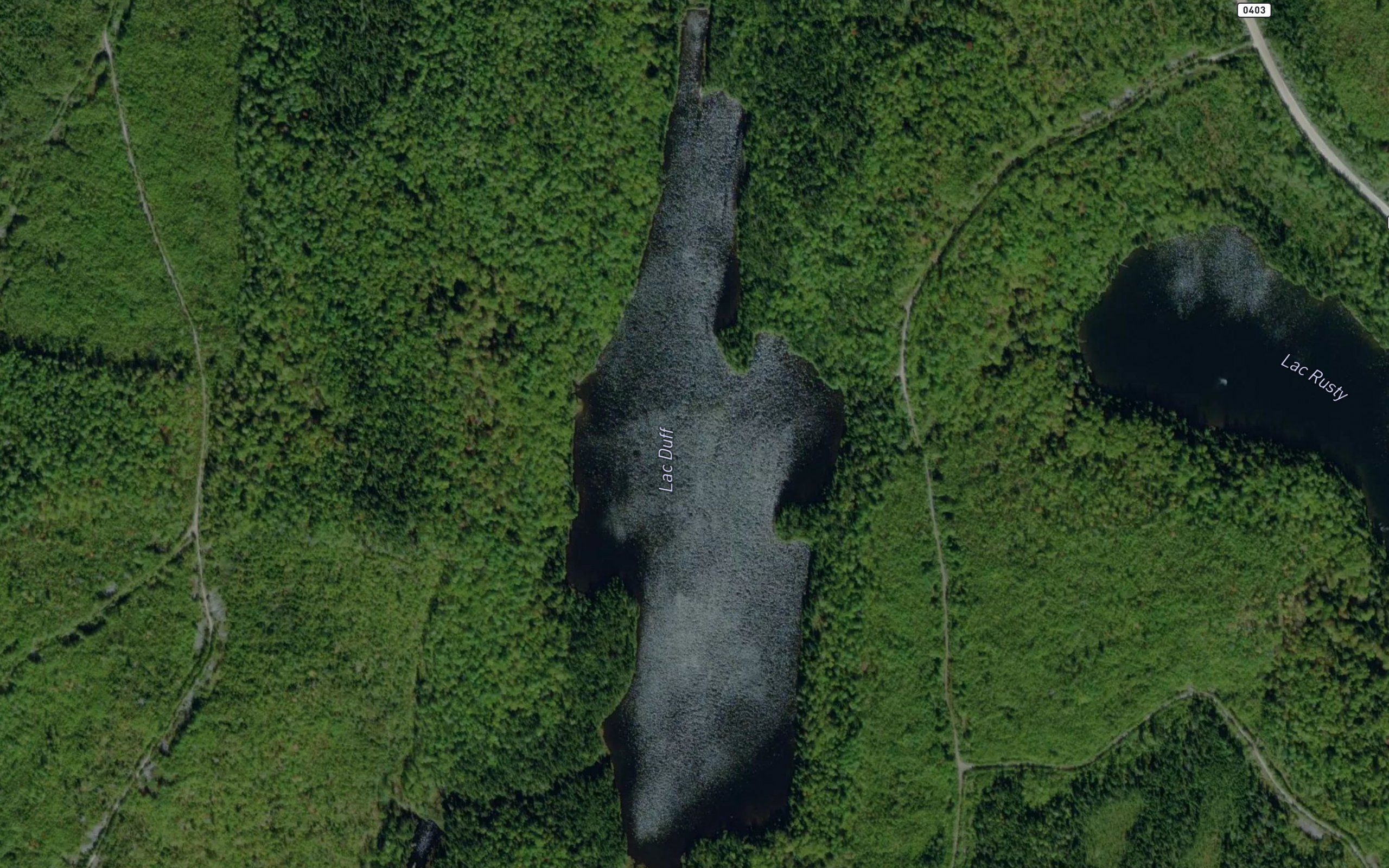 Lac Duff