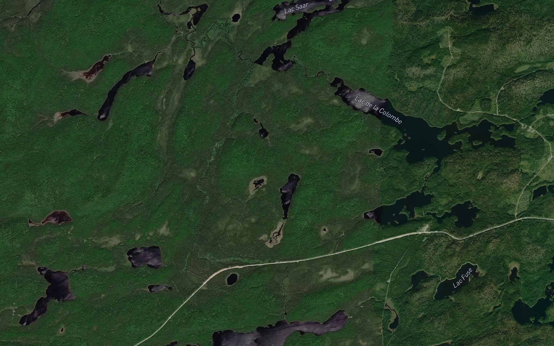 Satellite map of the Etang de l'Hermine