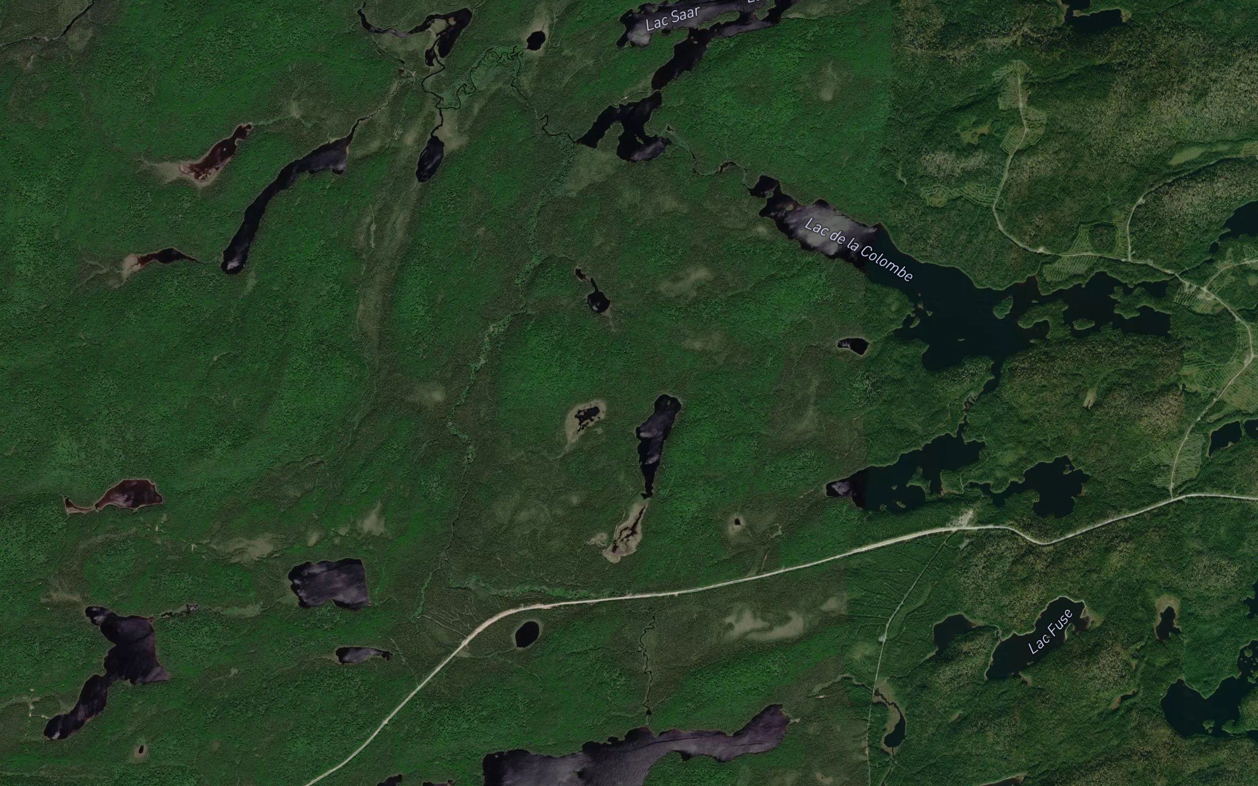 Etang de l'Hermine