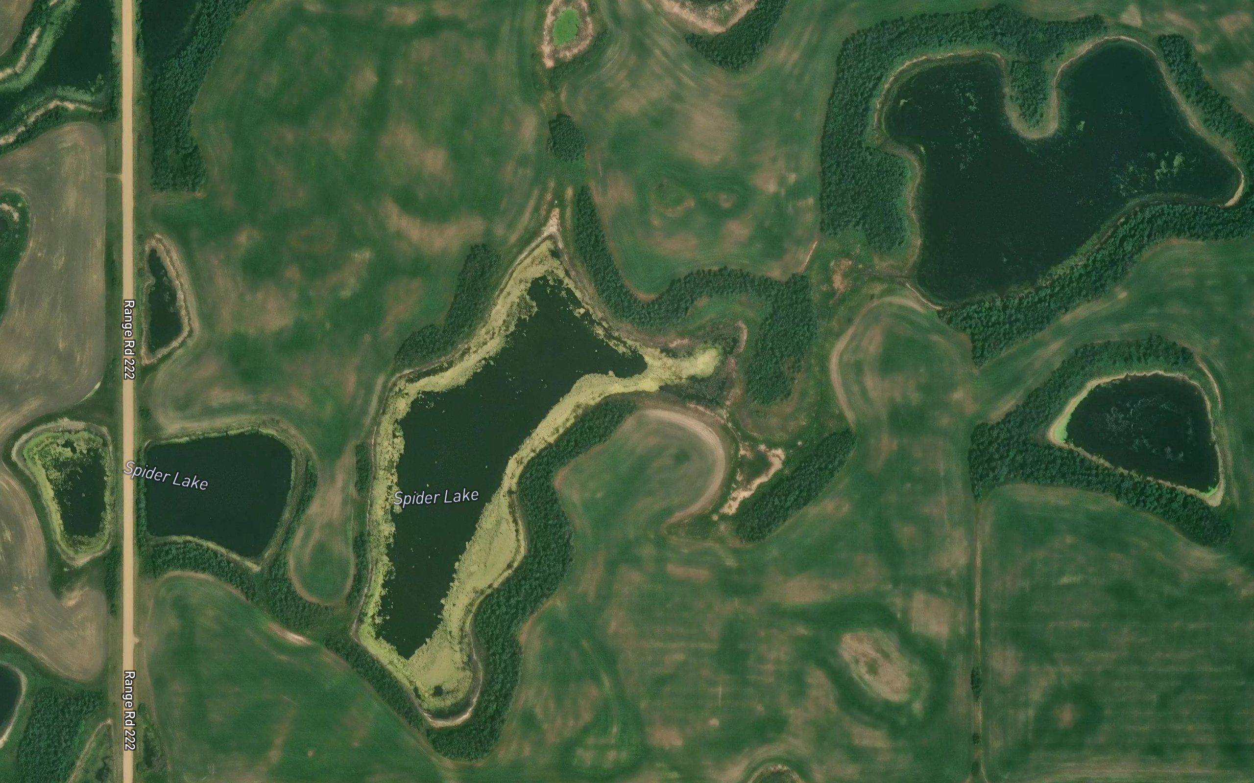 Spider Lake