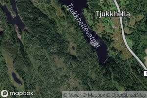 Laketjorni