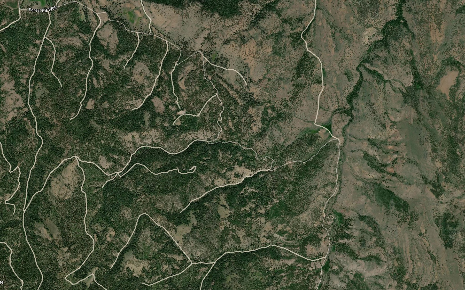 Satellite map of the Fortynine Spring