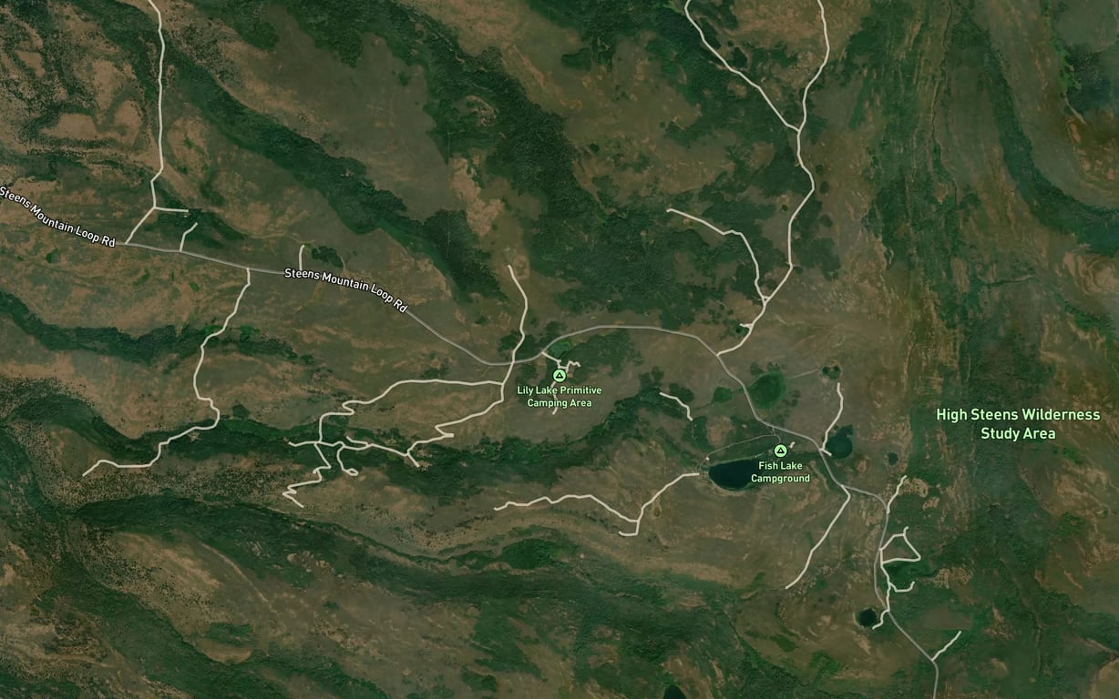 Lily Lake Fishing in Oregon 2026 — Live Reports, Forecast & AI Insight ...
