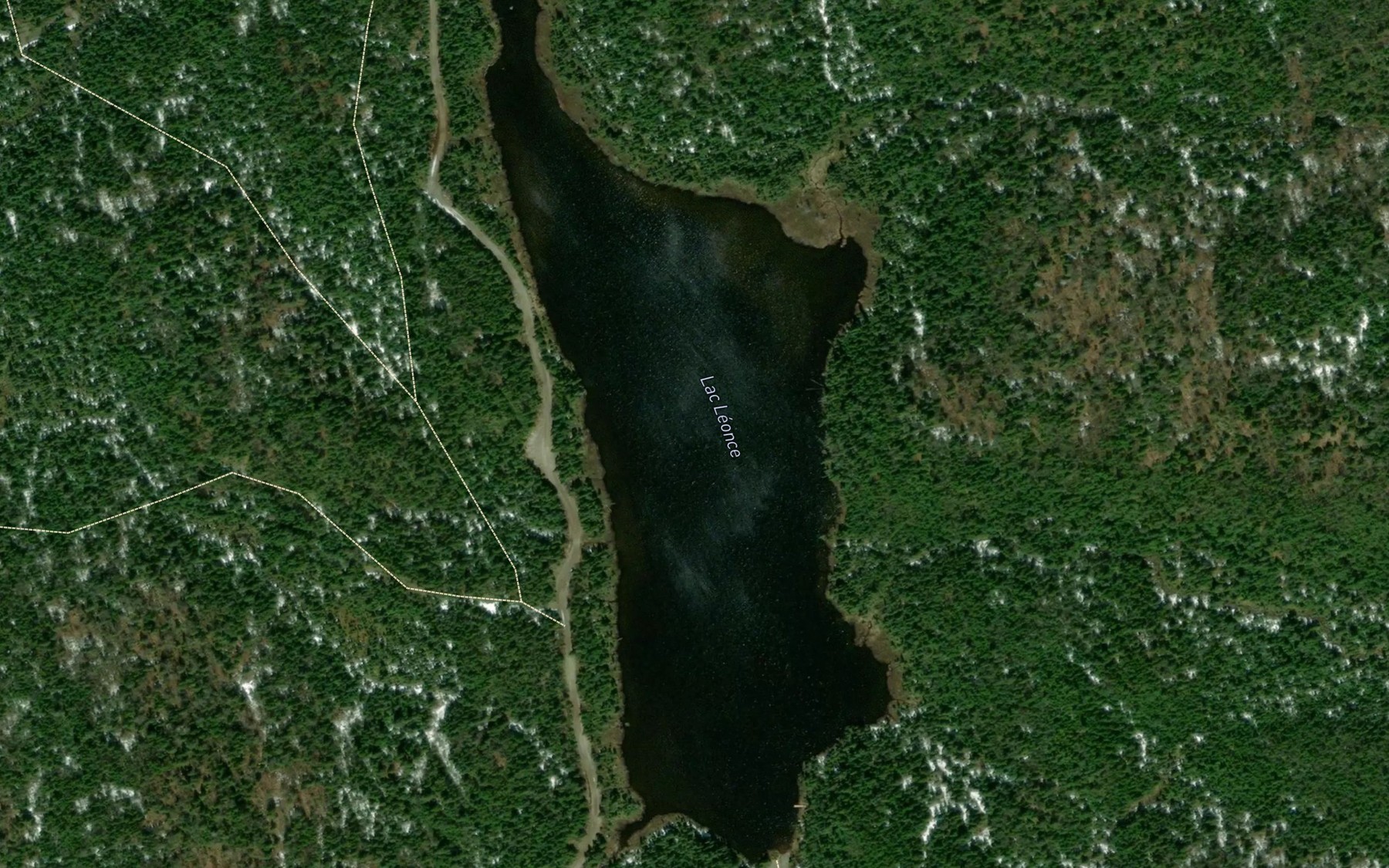 Satellite map of the Lac Leonce