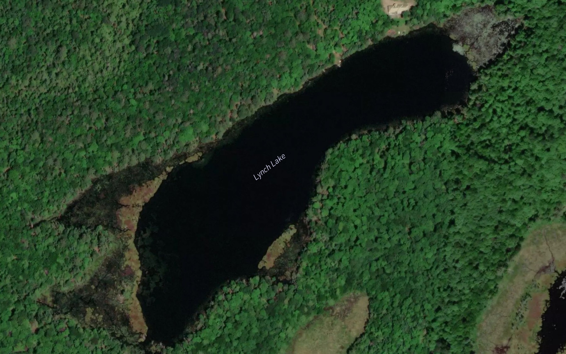 Satellite map of the Lynch Lake