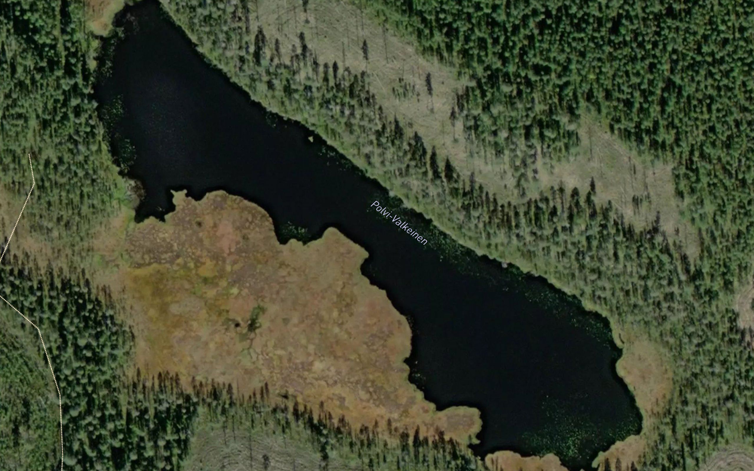 Polvi-Valkeinen