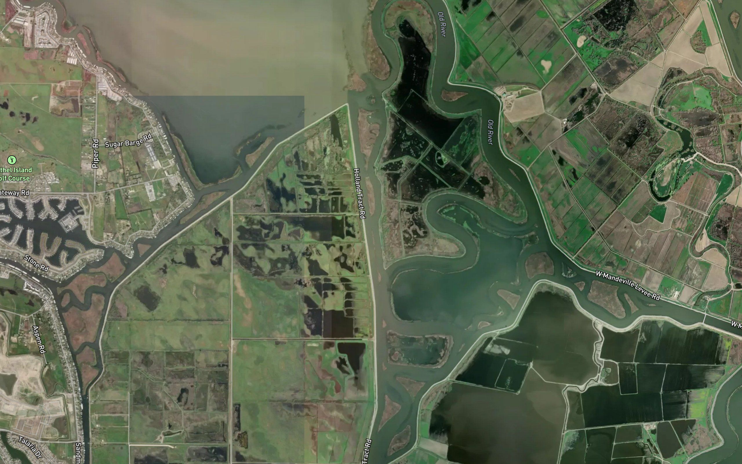 Holland Cut