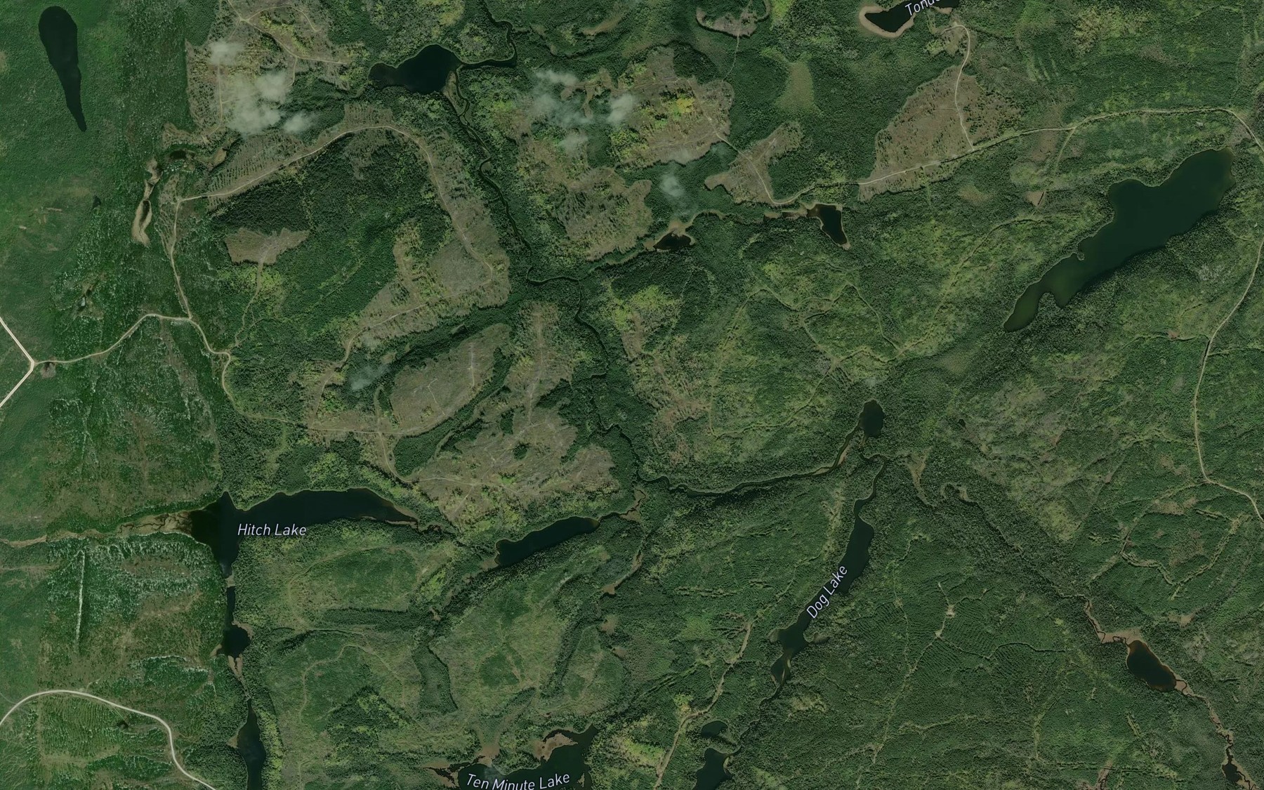 Satellite map of the Loop Creek