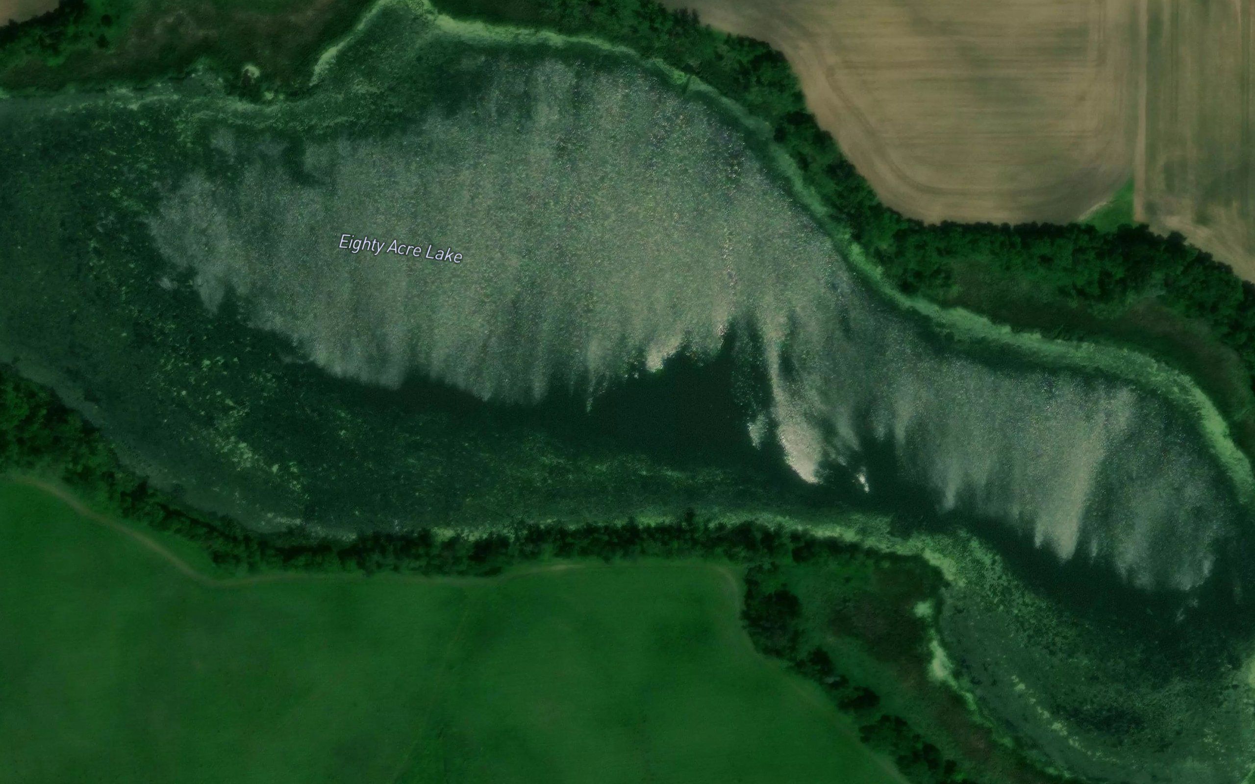 Eighty Acre Lake