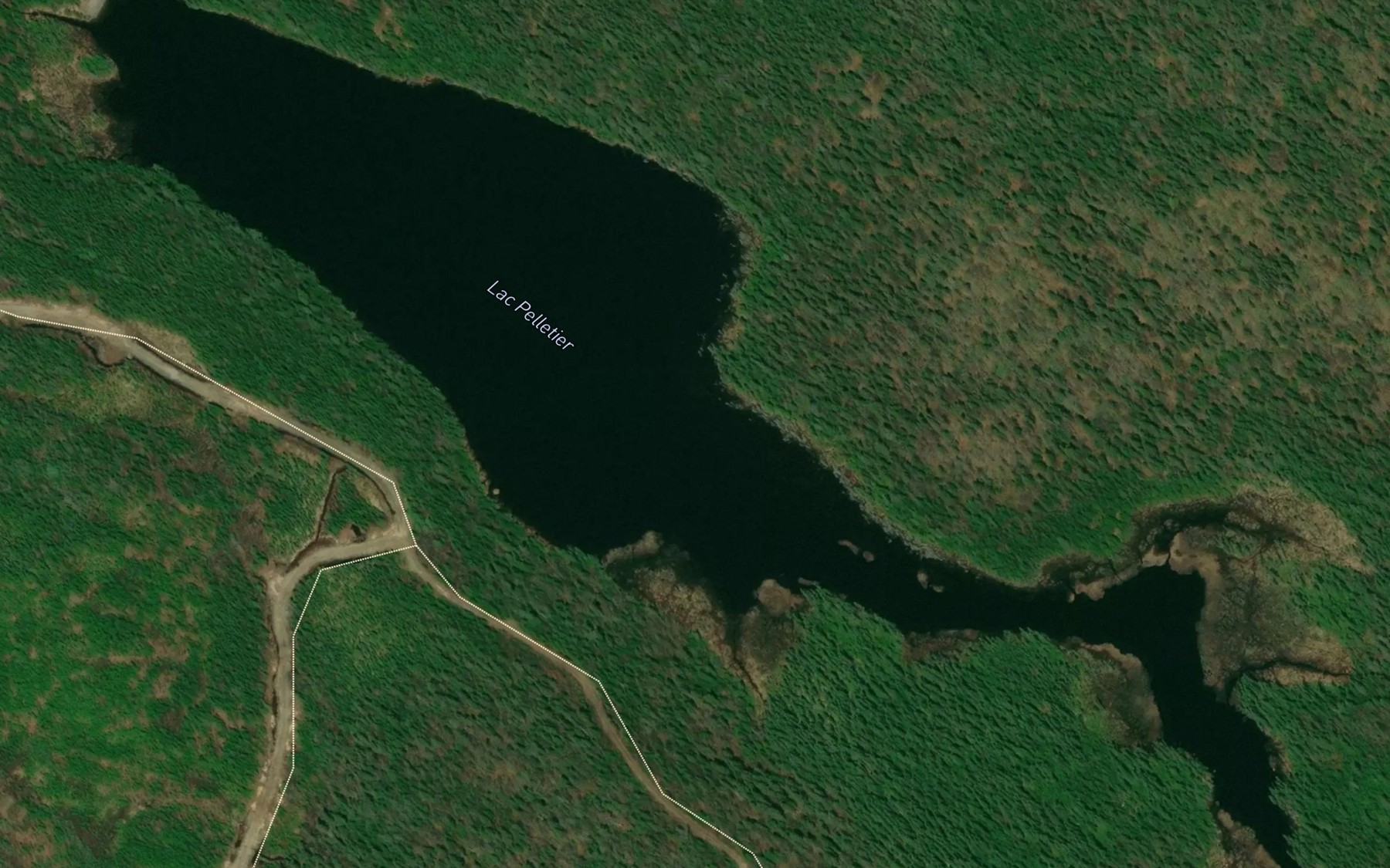 Satellite map of the Lac Pelletier