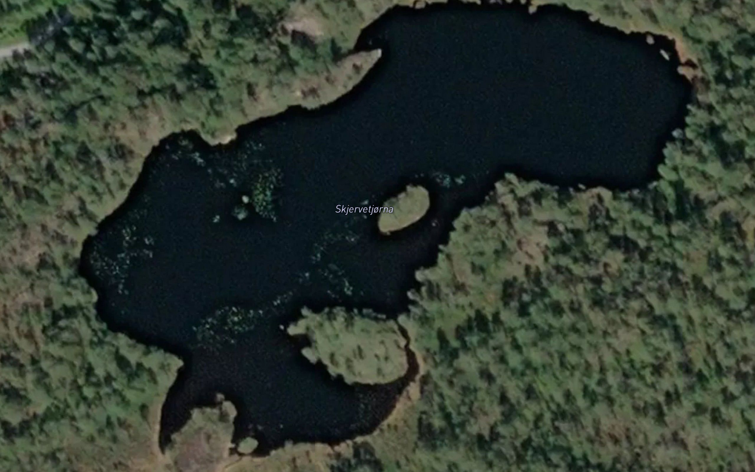 Skjervatjorna