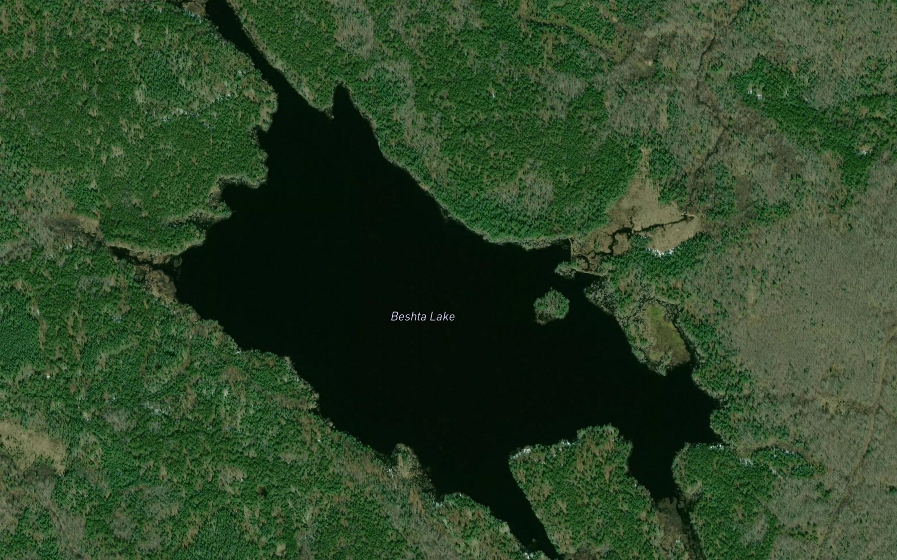 Satellite map of the Beshta Lake