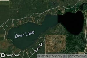 Deer Lake