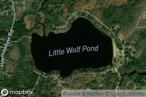 Little Wolf Pond