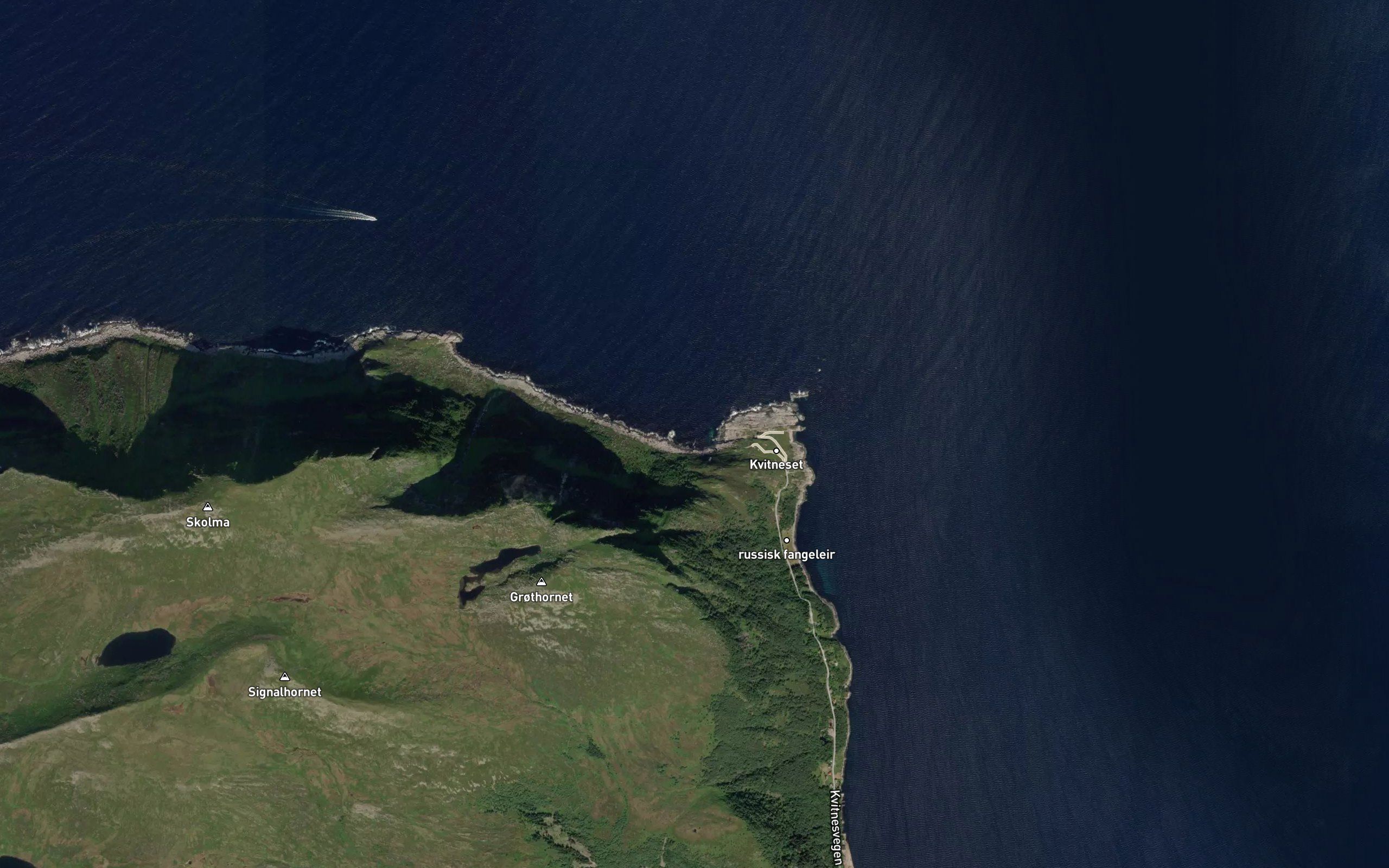 Krokvika