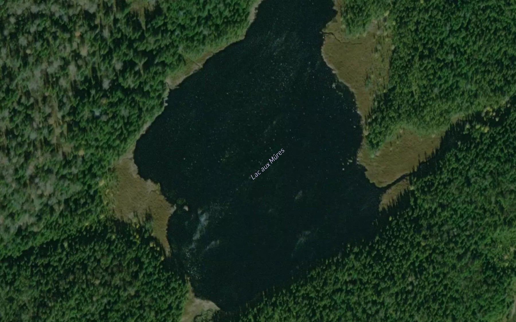 Satellite map of the Lac aux Mures