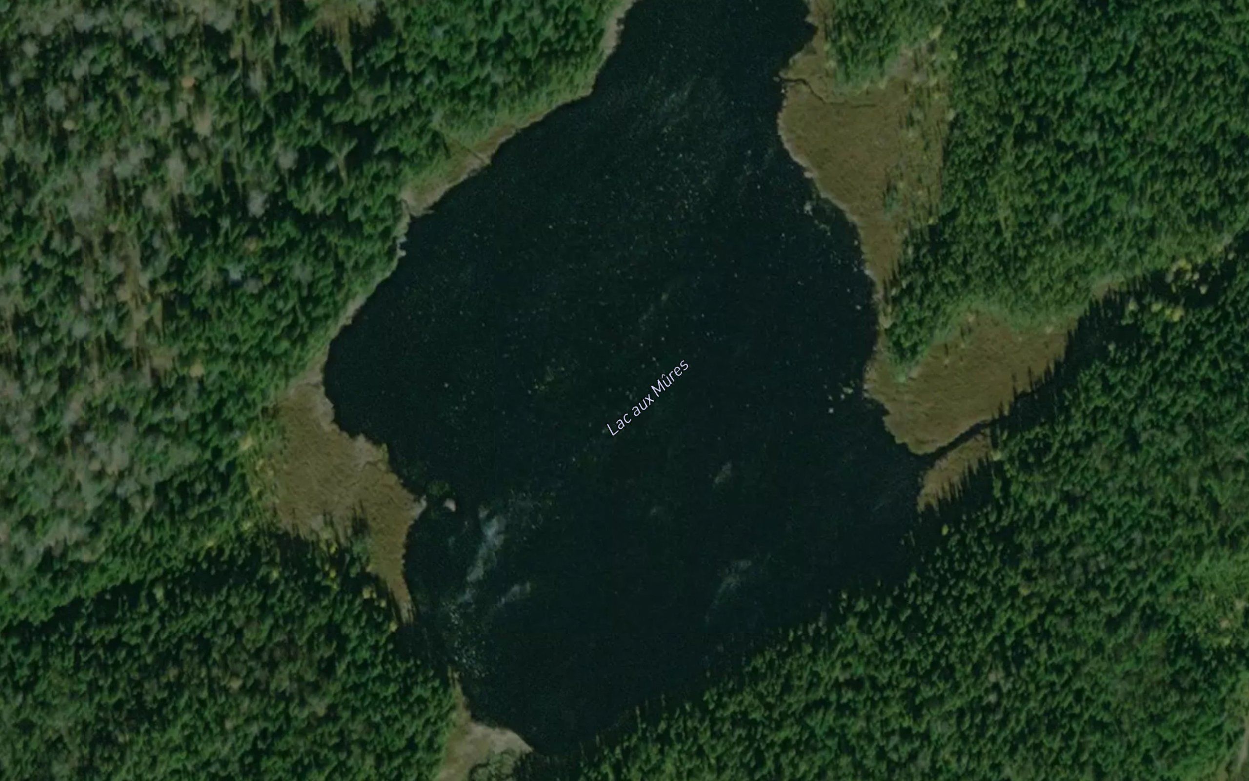 Lac aux Mures