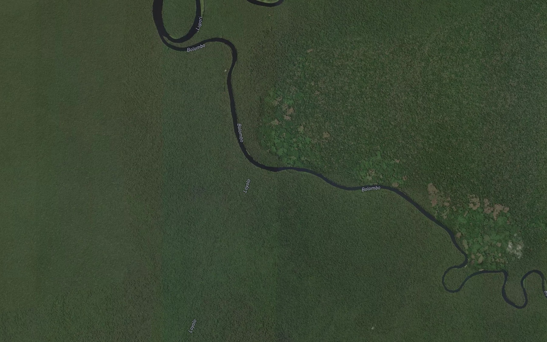 Satellite map of the Loyolo