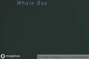 Whale Bay