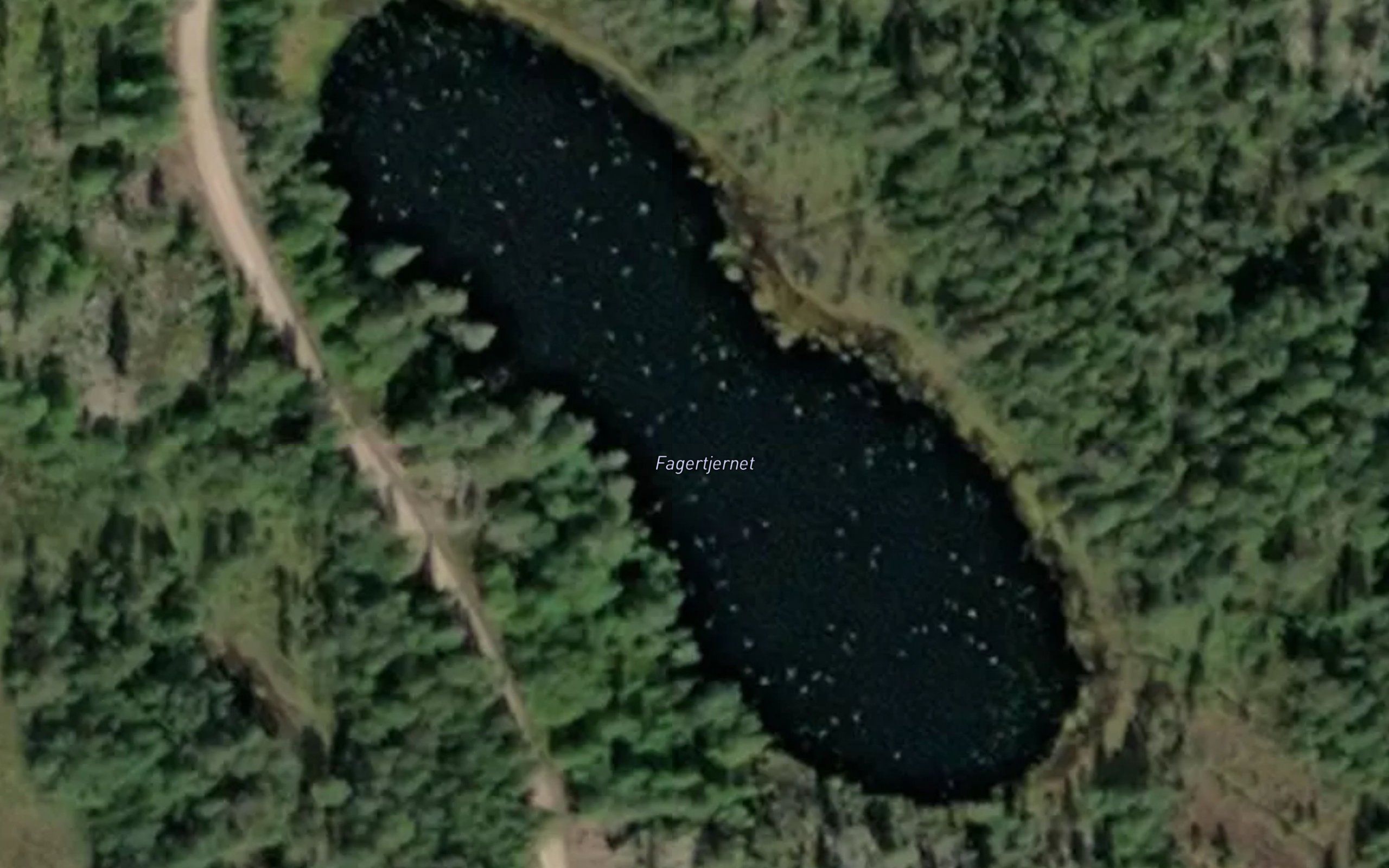 Fagertjernet