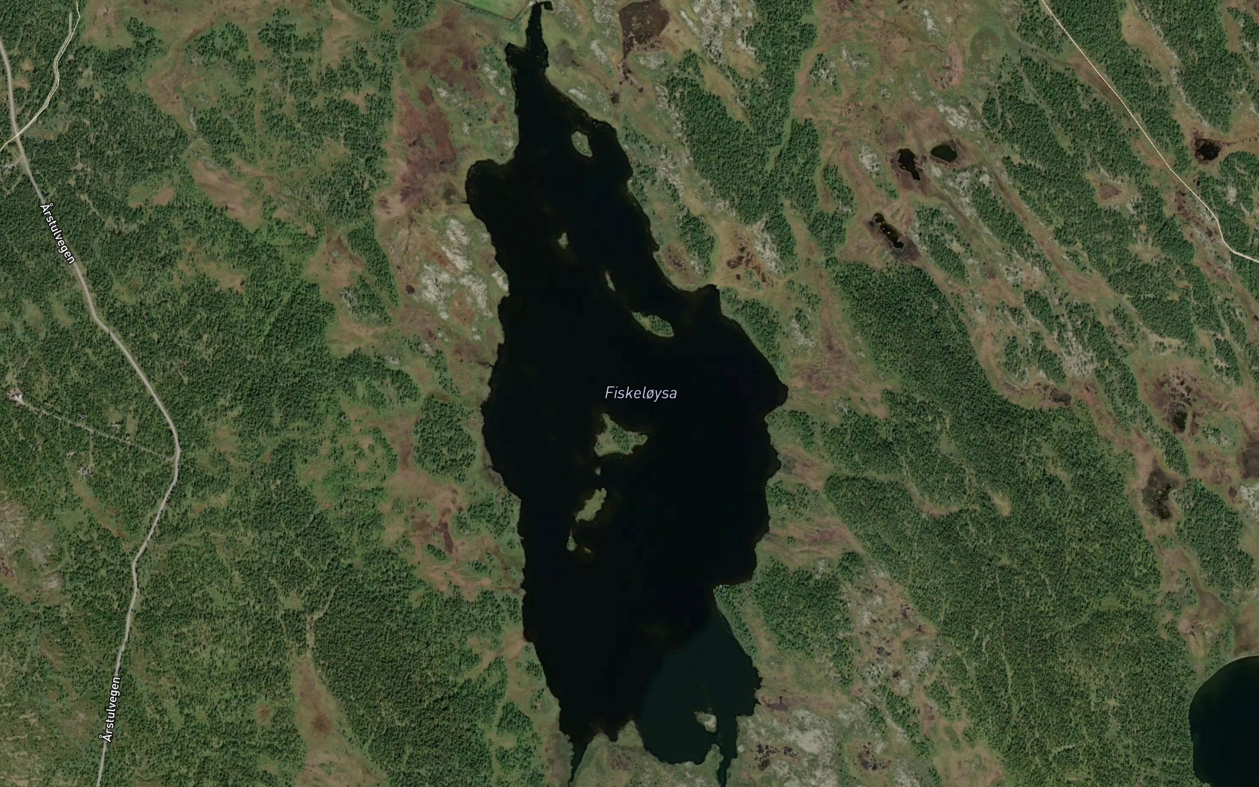 Fiskjeloyse