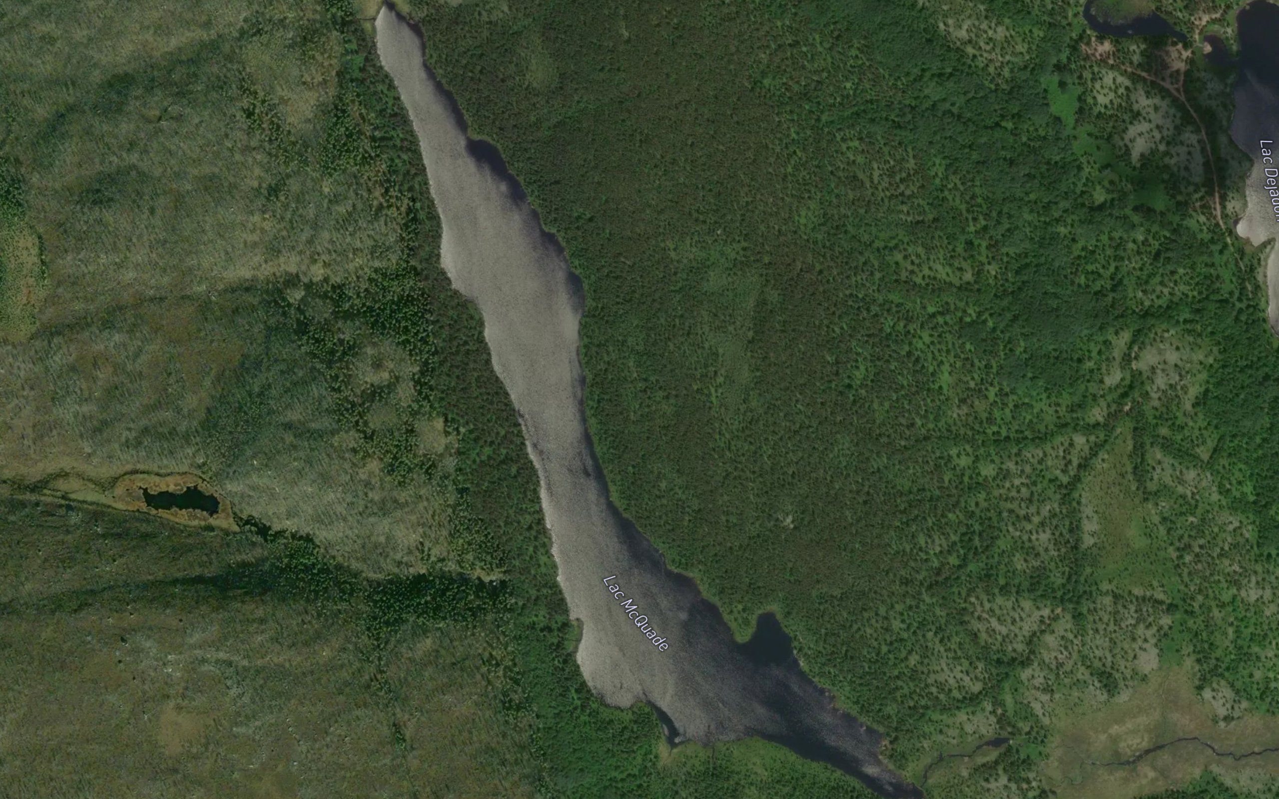 Lac McQuade