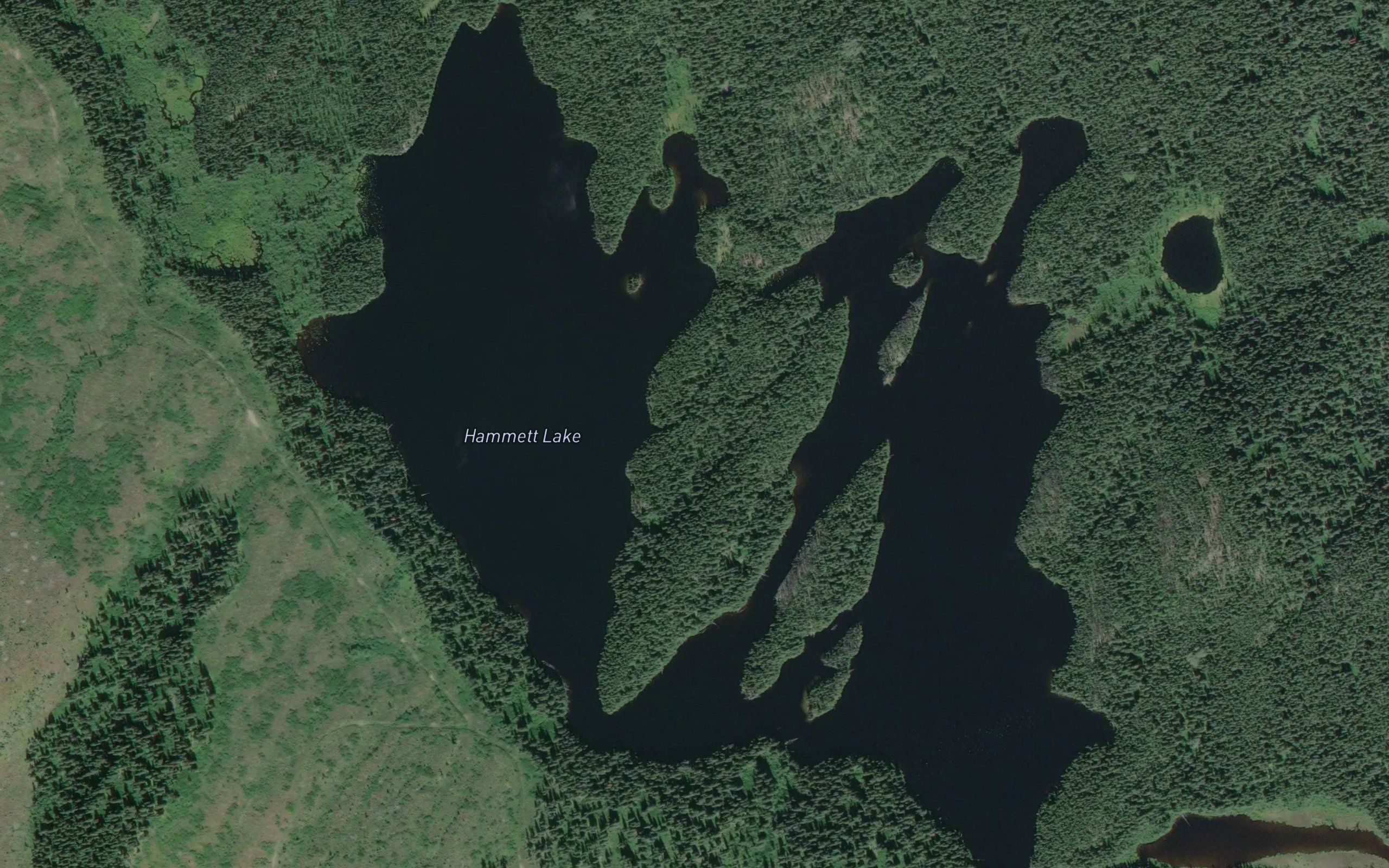 Hammett Lake