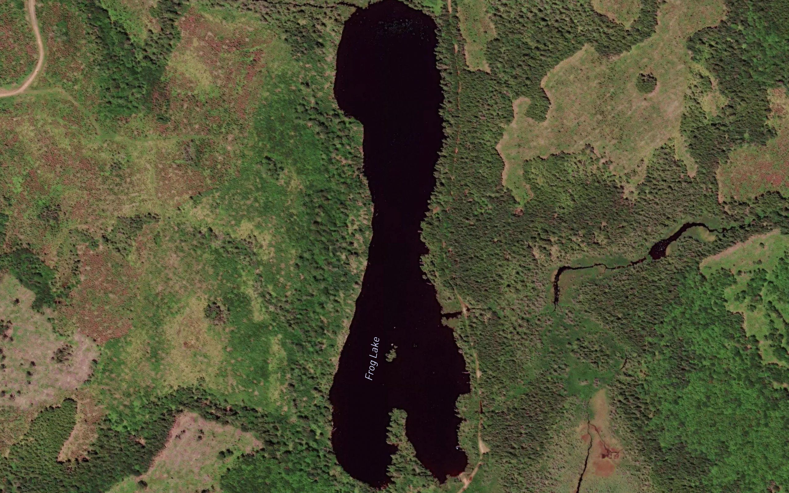 Frog Lake