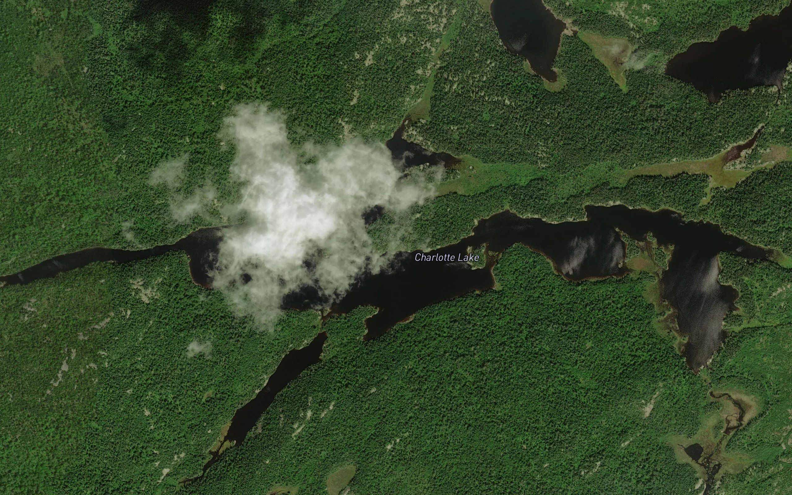 Charlotte Lake