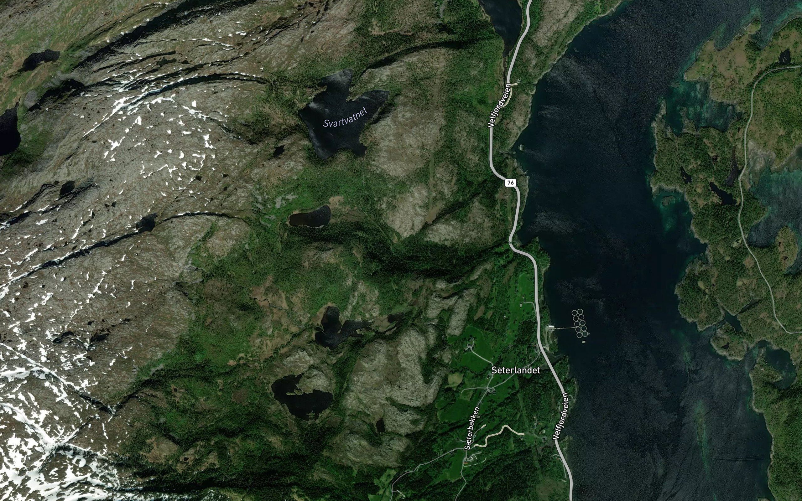 Kravikelva
