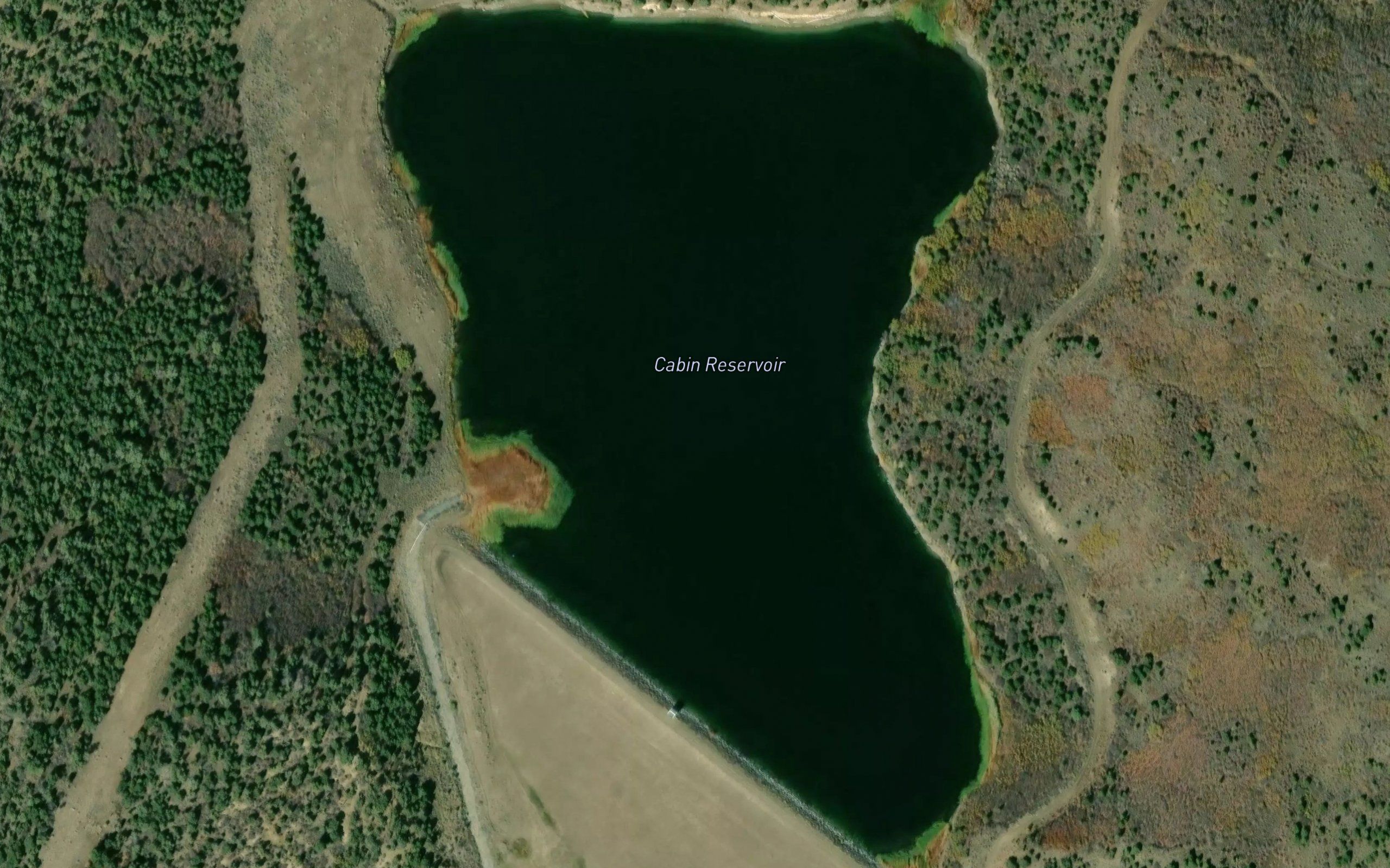 Palisade Cabin Reservoir