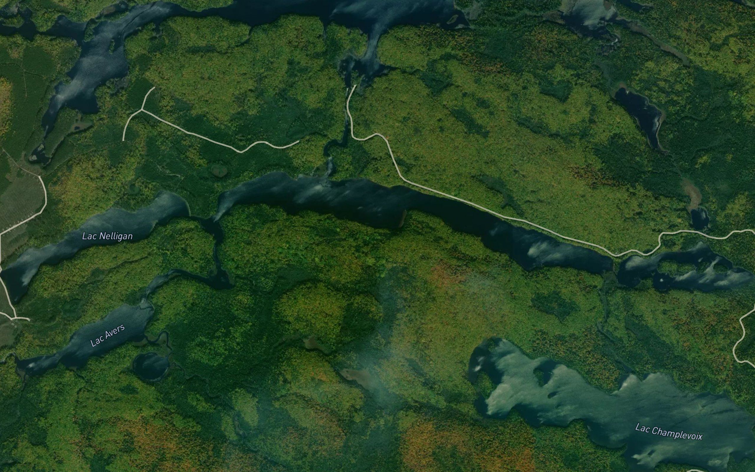 Lac Nelligan