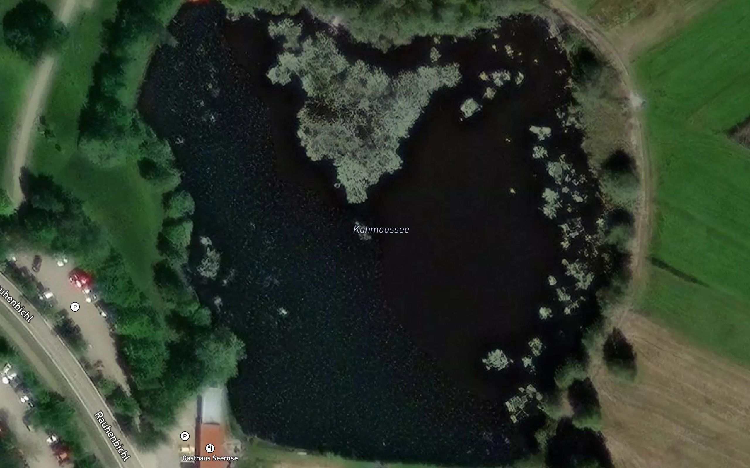 Kuhmoossee