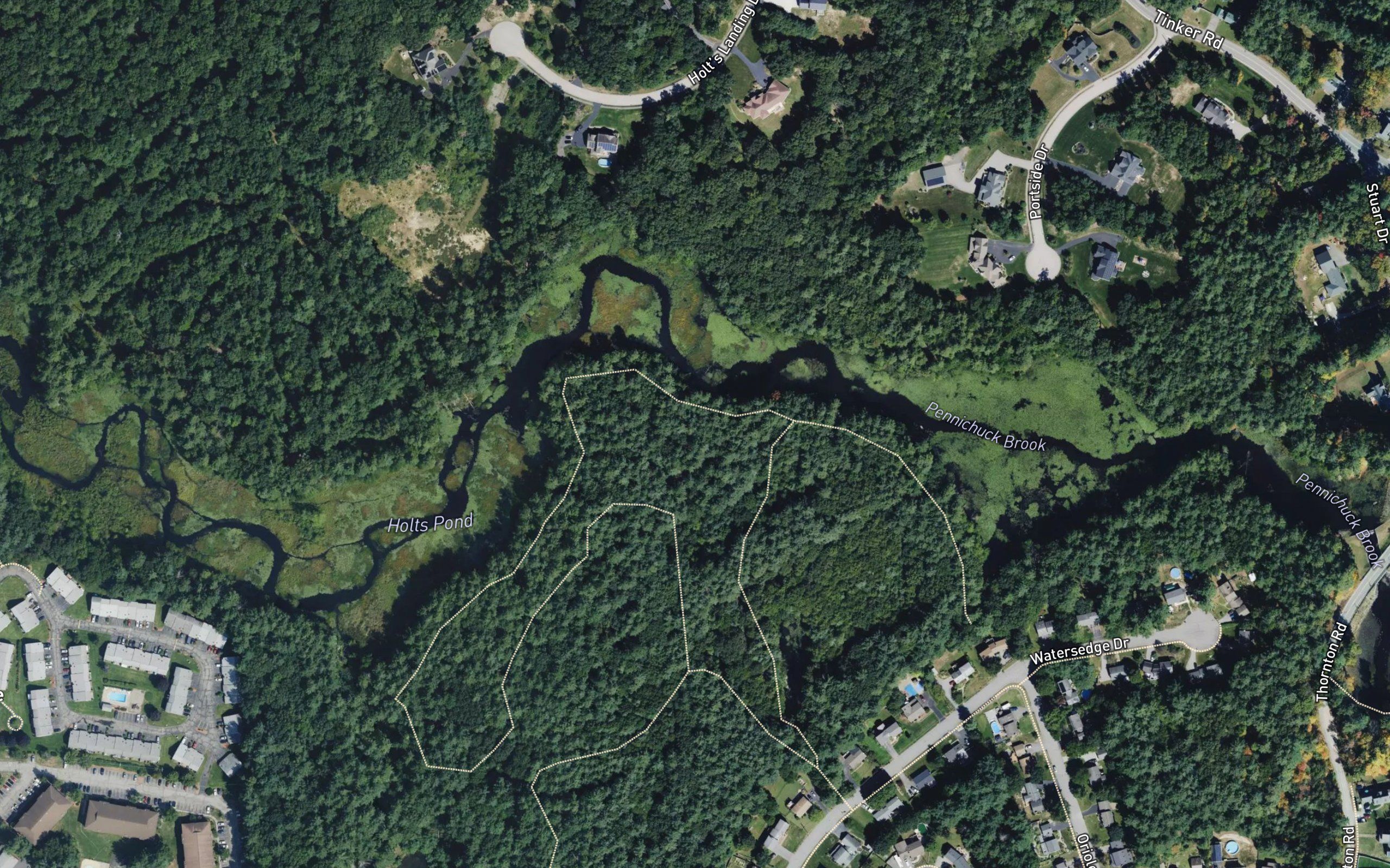 Holts Pond