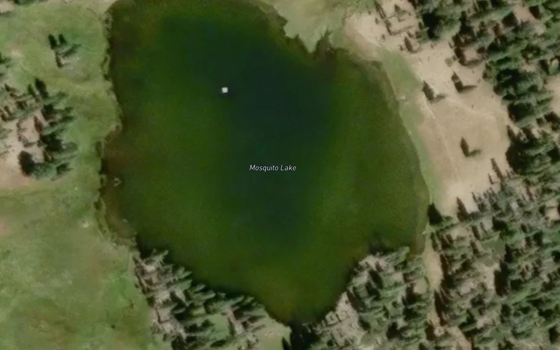 Satellite map of the Mosquito Lake
