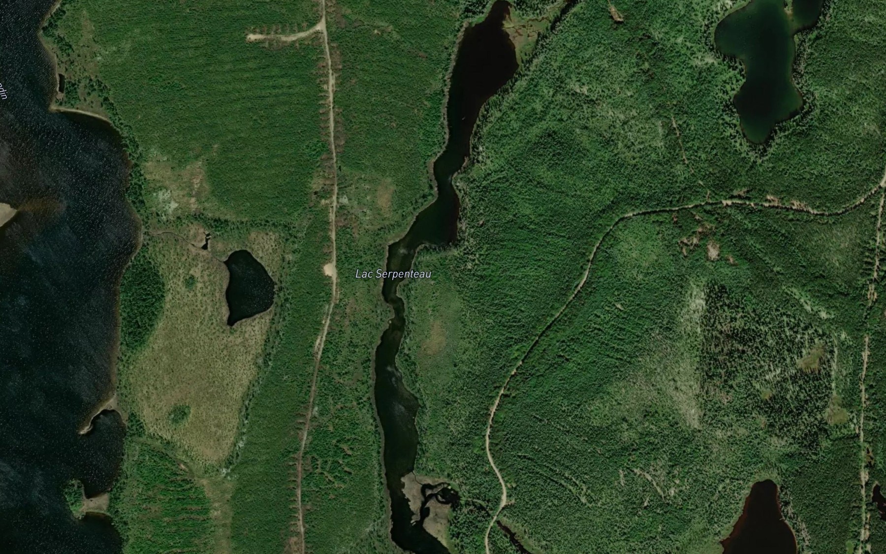 Satellite map of the Lac Serpenteau