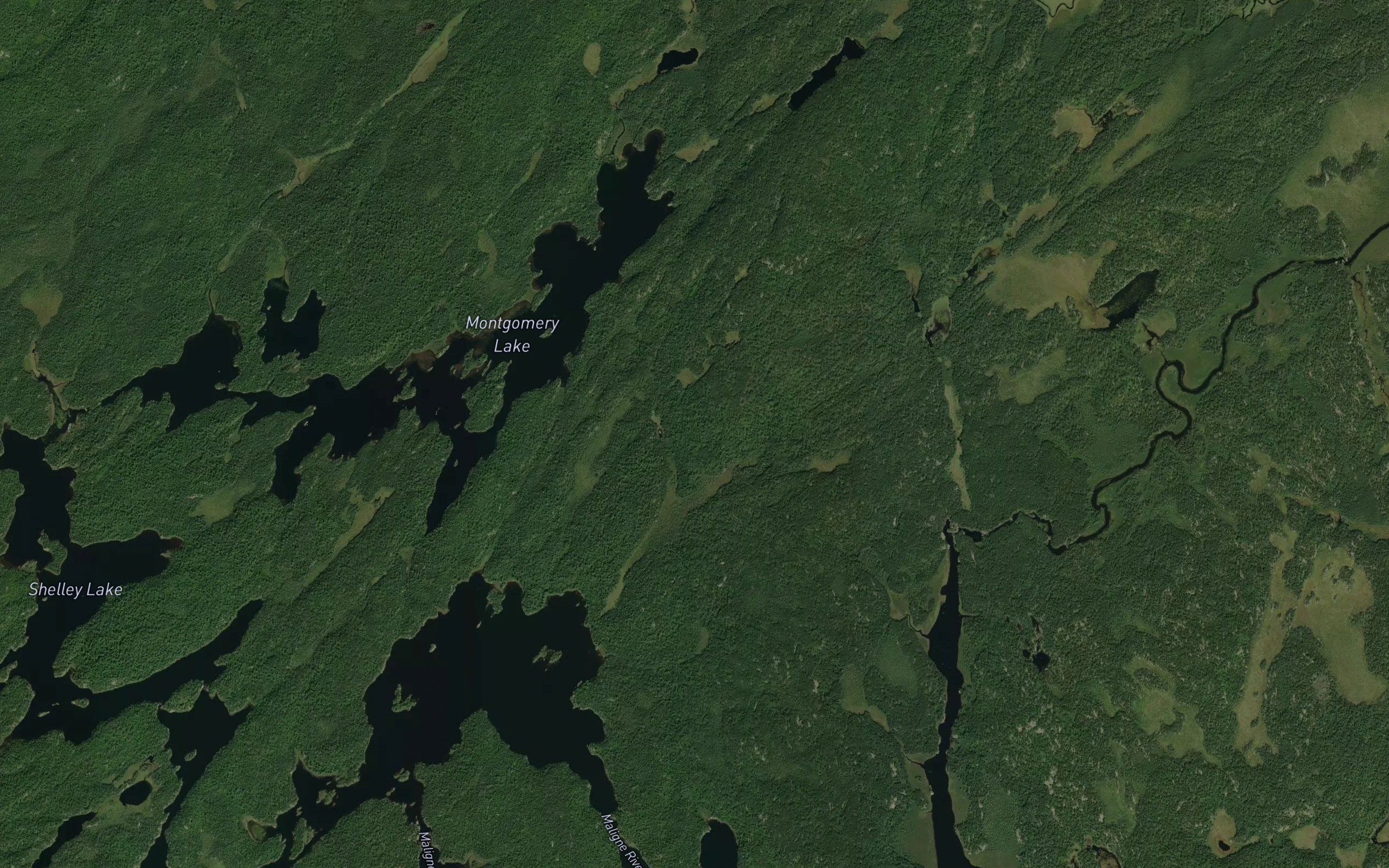 Cache River