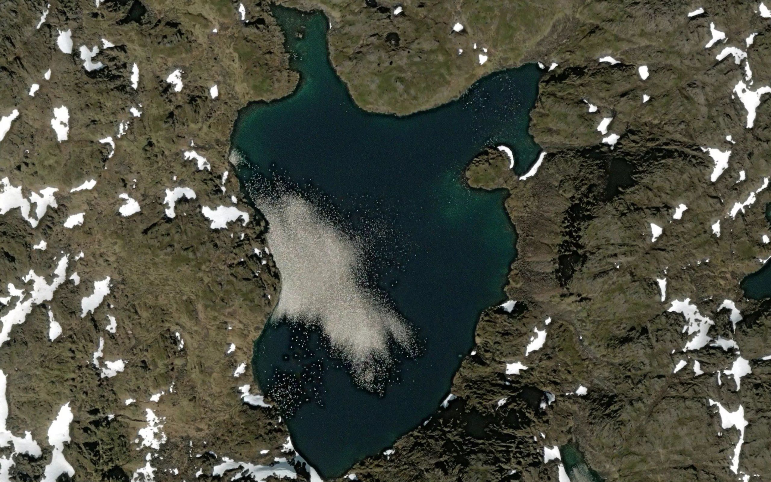Goalsakkarjavri